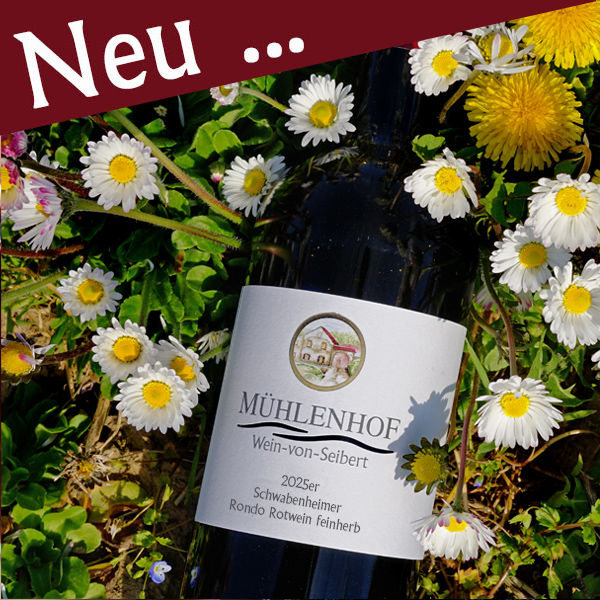 <br><h3>94/25</h3>2025er Rondo Rotwein feinherb 0,75l<br>